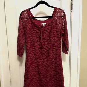 NEVER WORN: Lovely Garnet Hill Scoop Neck Lace Dress, Size 6